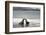 Ecuador, Galapagos Islands, Santiago Island. Galapagos Sea Lion-Kevin Oke-Framed Premium Photographic Print