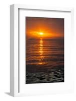 Ecuador, Galapagos National Park, Floreana Island. Ocean sunset.-Jaynes Gallery-Framed Photographic Print