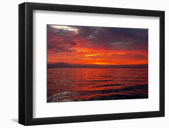 Ecuador, Galapagos National Park, Floreana Island. Ocean sunset.-Jaynes Gallery-Framed Photographic Print