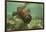 Ecuador, Galapagos National Park. Sea Lion Pup Underwater-Cathy & Gordon Illg-Framed Photographic Print