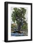 Ecuador, Galapagos National Park, South Plaza Island. Sea lion resting beside cactus.-Jaynes Gallery-Framed Photographic Print