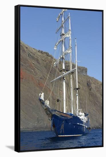 Ecuador, Galapagos, North Seymour Island. Galapagos Sea Lion Pup-Kevin Oke-Framed Stretched Canvas