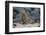 Ecuador, Galapagos, North Seymour Island. Galapagos Sea Lion Pup-Kevin Oke-Framed Photographic Print