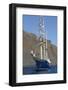 Ecuador, Galapagos, North Seymour Island. Galapagos Sea Lion Pup-Kevin Oke-Framed Photographic Print