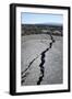 Ecuador, Galapagos, North Seymour Island. Galapagos Sea Lion Pups-Kevin Oke-Framed Photographic Print