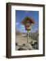 Ecuador, Galapagos, North Seymour Island. Magnificent Frigatebird-Kevin Oke-Framed Photographic Print