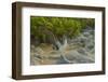 Ecuador, Galapagos NP, San Cristobal. Blue-Footed Booby Displaying-Cathy & Gordon Illg-Framed Photographic Print