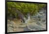 Ecuador, Galapagos NP, San Cristobal. Blue-Footed Booby Displaying-Cathy & Gordon Illg-Framed Photographic Print