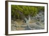 Ecuador, Galapagos NP, San Cristobal. Blue-Footed Booby Displaying-Cathy & Gordon Illg-Framed Photographic Print