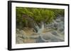 Ecuador, Galapagos NP, San Cristobal. Blue-Footed Booby Displaying-Cathy & Gordon Illg-Framed Photographic Print