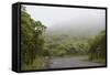 Ecuador, Galapagos, Santa Cruz Island. Forest on the Santa Cruz Road-Kevin Oke-Framed Stretched Canvas