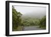 Ecuador, Galapagos, Santa Cruz Island. Forest on the Santa Cruz Road-Kevin Oke-Framed Photographic Print