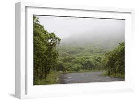 Ecuador, Galapagos, Santa Cruz Island. Forest on the Santa Cruz Road-Kevin Oke-Framed Photographic Print