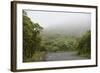 Ecuador, Galapagos, Santa Cruz Island. Forest on the Santa Cruz Road-Kevin Oke-Framed Photographic Print