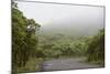 Ecuador, Galapagos, Santa Cruz Island. Forest on the Santa Cruz Road-Kevin Oke-Mounted Photographic Print