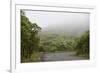 Ecuador, Galapagos, Santa Cruz Island. Forest on the Santa Cruz Road-Kevin Oke-Framed Photographic Print