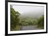 Ecuador, Galapagos, Santa Cruz Island. Forest on the Santa Cruz Road-Kevin Oke-Framed Photographic Print