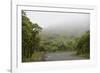 Ecuador, Galapagos, Santa Cruz Island. Forest on the Santa Cruz Road-Kevin Oke-Framed Photographic Print