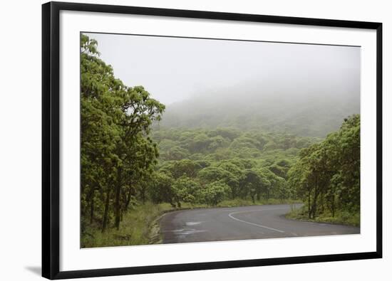 Ecuador, Galapagos, Santa Cruz Island. Forest on the Santa Cruz Road-Kevin Oke-Framed Photographic Print