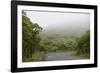 Ecuador, Galapagos, Santa Cruz Island. Forest on the Santa Cruz Road-Kevin Oke-Framed Photographic Print