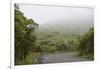 Ecuador, Galapagos, Santa Cruz Island. Forest on the Santa Cruz Road-Kevin Oke-Framed Photographic Print