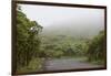 Ecuador, Galapagos, Santa Cruz Island. Forest on the Santa Cruz Road-Kevin Oke-Framed Photographic Print