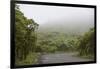 Ecuador, Galapagos, Santa Cruz Island. Forest on the Santa Cruz Road-Kevin Oke-Framed Photographic Print