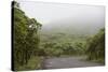 Ecuador, Galapagos, Santa Cruz Island. Forest on the Santa Cruz Road-Kevin Oke-Stretched Canvas