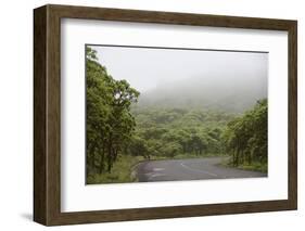 Ecuador, Galapagos, Santa Cruz Island. Forest on the Santa Cruz Road-Kevin Oke-Framed Photographic Print