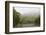 Ecuador, Galapagos, Santa Cruz Island. Forest on the Santa Cruz Road-Kevin Oke-Framed Photographic Print