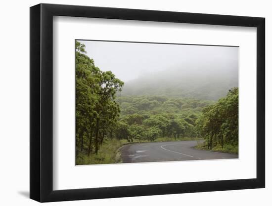 Ecuador, Galapagos, Santa Cruz Island. Forest on the Santa Cruz Road-Kevin Oke-Framed Photographic Print