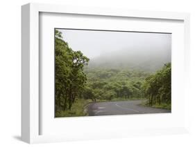 Ecuador, Galapagos, Santa Cruz Island. Forest on the Santa Cruz Road-Kevin Oke-Framed Photographic Print