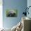 Ecuador, Galapagos, Santa Cruz Island. Galapagos Giant Tortoise-Kevin Oke-Mounted Photographic Print displayed on a wall