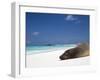 Ecuador, Galapagos, Sunbathing Sea Lion on the Stunning Beaches of San Cristobal, Galapagos-Niels Van Gijn-Framed Premium Photographic Print