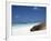 Ecuador, Galapagos, Sunbathing Sea Lion on the Stunning Beaches of San Cristobal, Galapagos-Niels Van Gijn-Framed Photographic Print