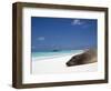 Ecuador, Galapagos, Sunbathing Sea Lion on the Stunning Beaches of San Cristobal, Galapagos-Niels Van Gijn-Framed Photographic Print