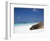 Ecuador, Galapagos, Sunbathing Sea Lion on the Stunning Beaches of San Cristobal, Galapagos-Niels Van Gijn-Framed Photographic Print