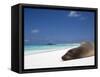 Ecuador, Galapagos, Sunbathing Sea Lion on the Stunning Beaches of San Cristobal, Galapagos-Niels Van Gijn-Framed Stretched Canvas