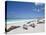 Ecuador, Galapagos, Sunbathing Sea Lions on the Stunning Beaches of San Cristobal, Galapagos-Niels Van Gijn-Stretched Canvas