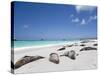 Ecuador, Galapagos, Sunbathing Sea Lions on the Stunning Beaches of San Cristobal, Galapagos-Niels Van Gijn-Stretched Canvas