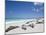 Ecuador, Galapagos, Sunbathing Sea Lions on the Stunning Beaches of San Cristobal, Galapagos-Niels Van Gijn-Mounted Photographic Print