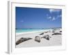 Ecuador, Galapagos, Sunbathing Sea Lions on the Stunning Beaches of San Cristobal, Galapagos-Niels Van Gijn-Framed Photographic Print