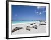 Ecuador, Galapagos, Sunbathing Sea Lions on the Stunning Beaches of San Cristobal, Galapagos-Niels Van Gijn-Framed Photographic Print