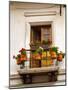 Ecuador, Quito. La Ronda neighborhood scenic of flower pots in window.-Jaynes Gallery-Mounted Photographic Print
