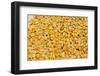 Ecuador, Quito, Otavalo, Farmer's Market. Dry corn.-Cindy Miller Hopkins-Framed Photographic Print