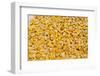 Ecuador, Quito, Otavalo, Farmer's Market. Dry corn.-Cindy Miller Hopkins-Framed Photographic Print