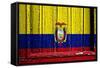 Ecuador-budastock-Framed Stretched Canvas