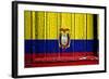 Ecuador-budastock-Framed Art Print