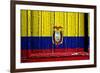 Ecuador-budastock-Framed Art Print