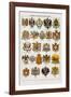 Ecussons et armes des diverses nations-Continental School-Framed Giclee Print